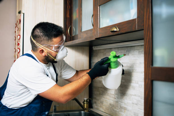 Best Cockroach Control Services  in Sterlington, LA