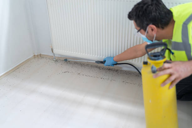 Best Commercial Pest Control Services  in Sterlington, LA
