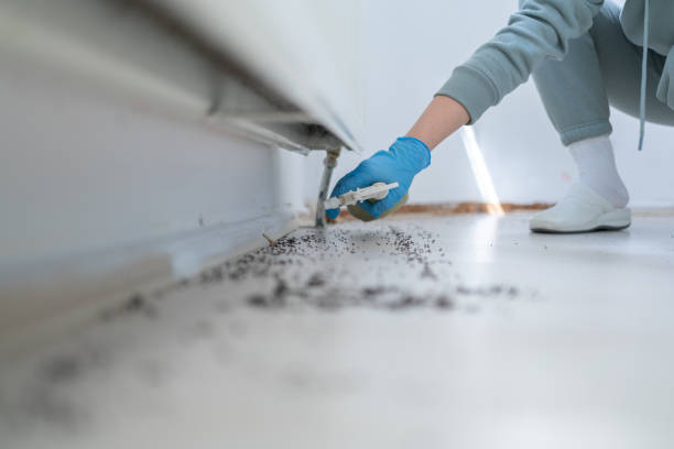 Best Best Pest Control Companies  in Sterlington, LA