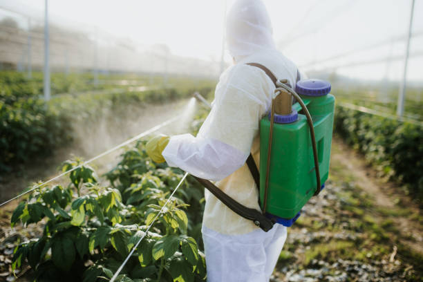 Trusted Sterlington, LA Pest Control Experts